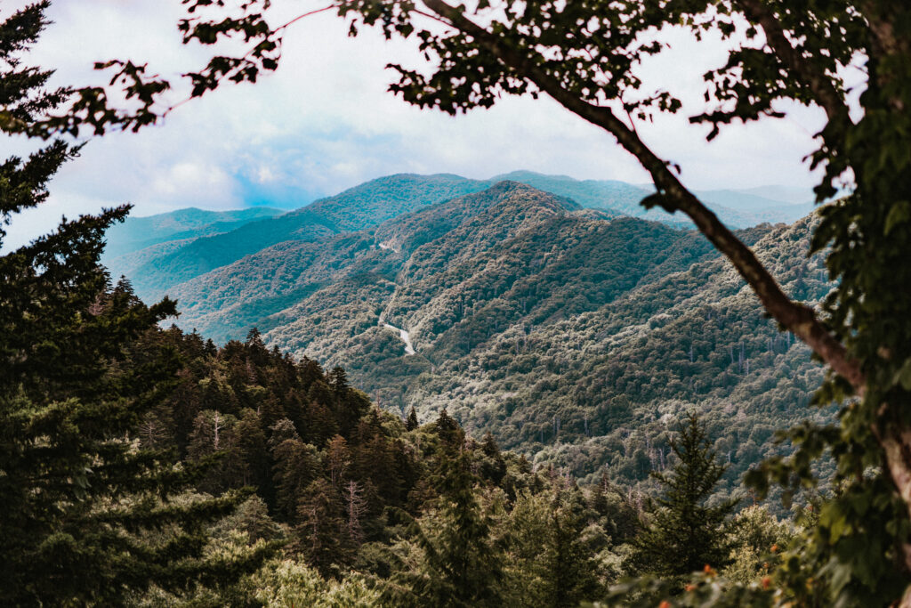 a landscape image of the Great Smoky Mountains